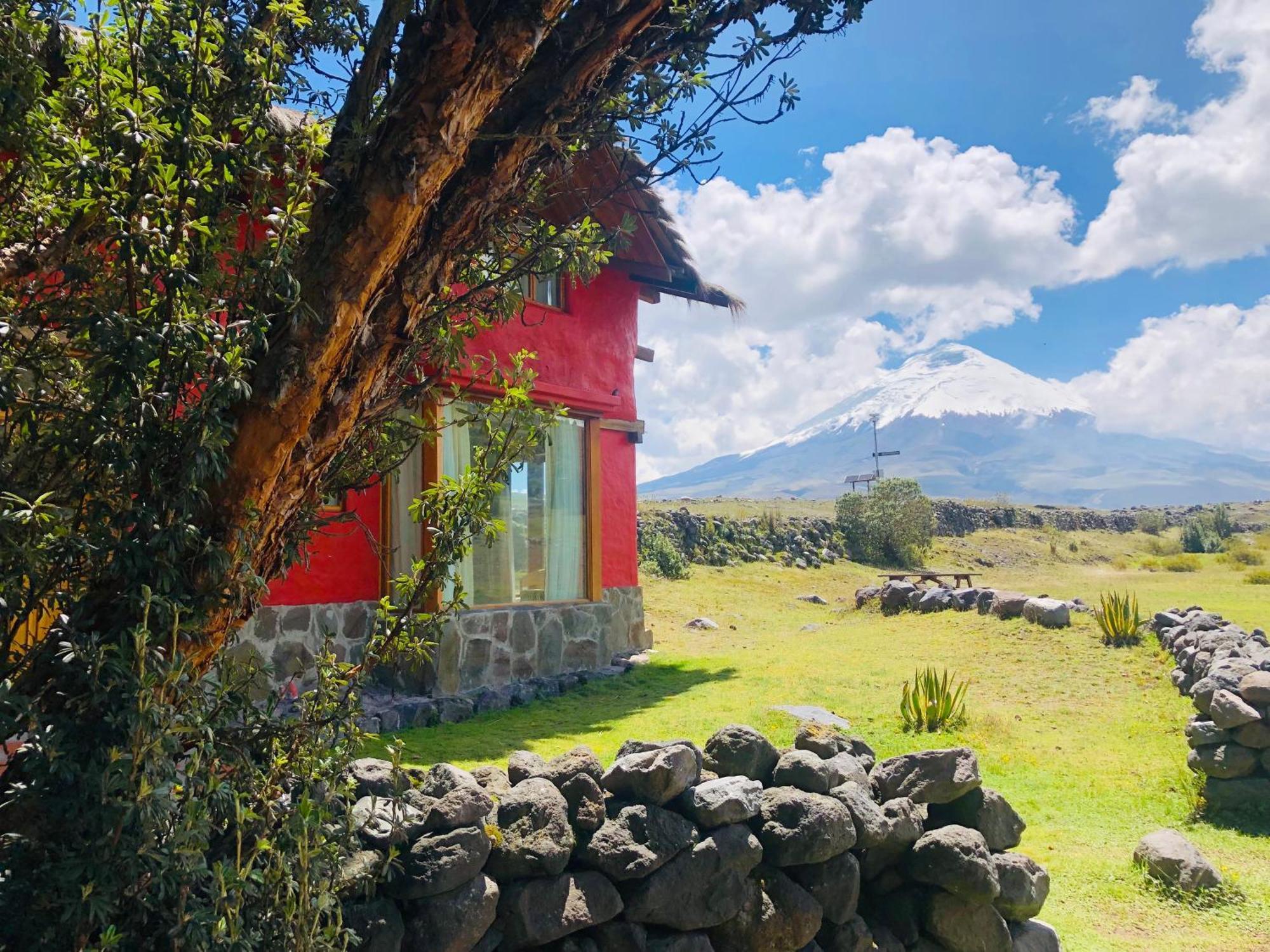 Tambopaxi
