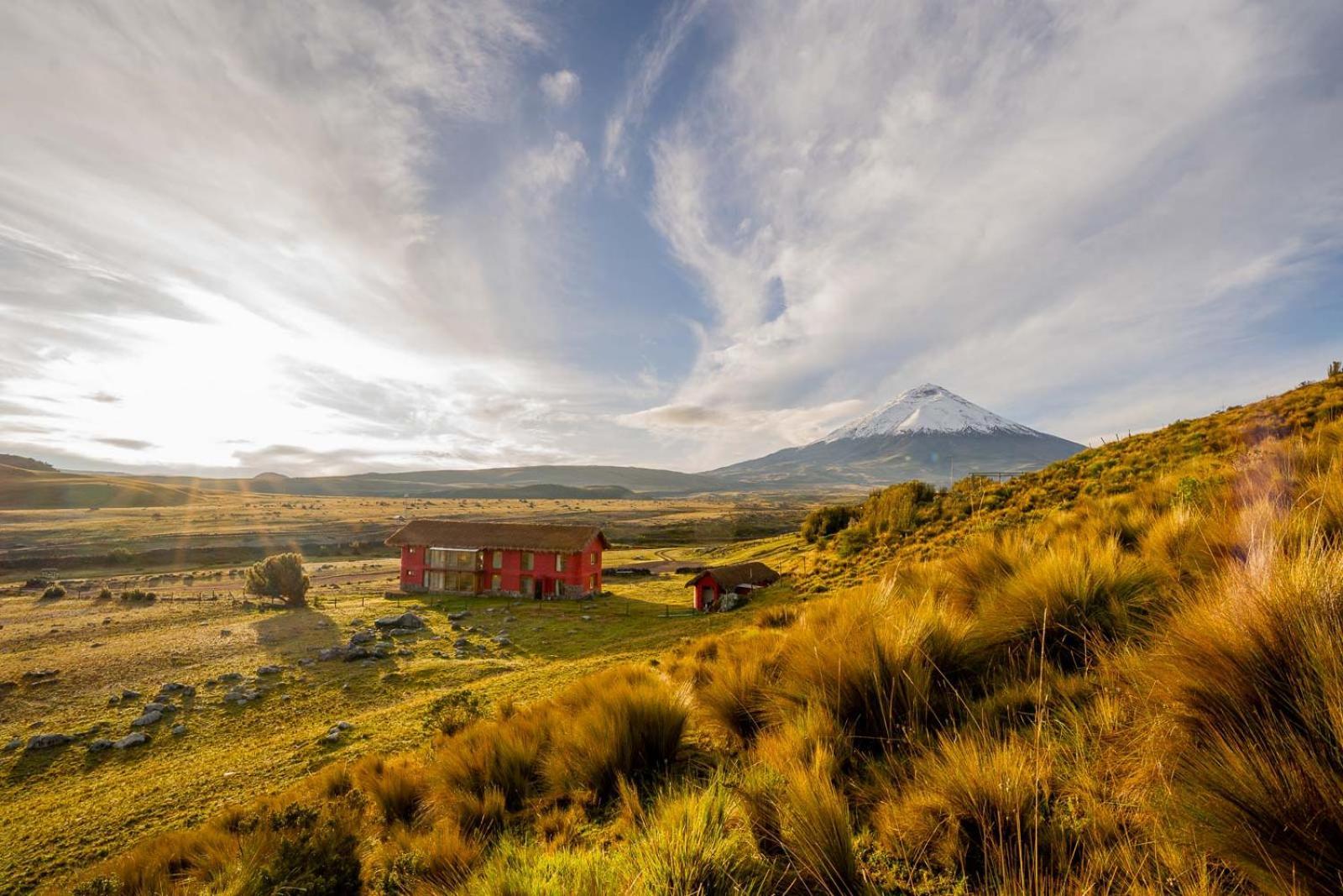 Tambopaxi *