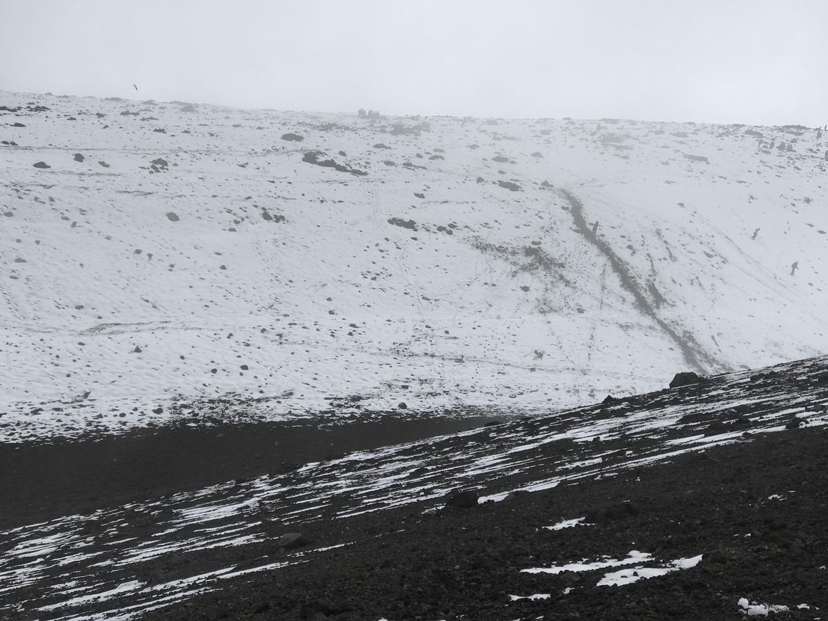 Tambopaxi *