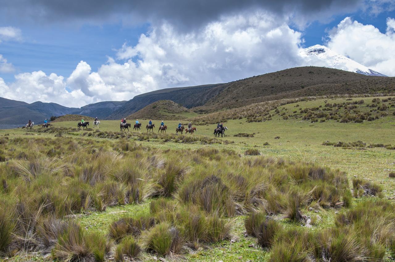Tambopaxi